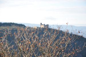 loire_4